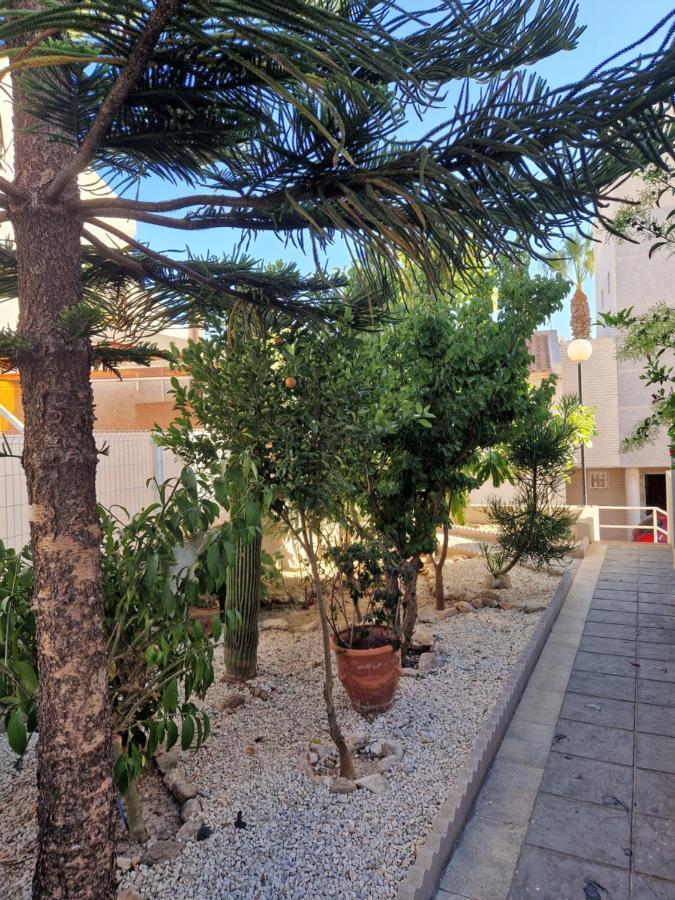 Magnifico Chalet Adosado En Torrevieja, Alicante. Buitenkant foto